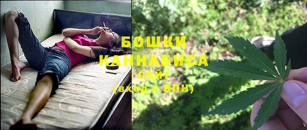 прущий лед Абаза