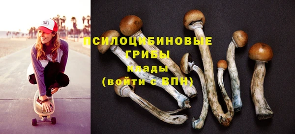 Альфа ПВП Абдулино